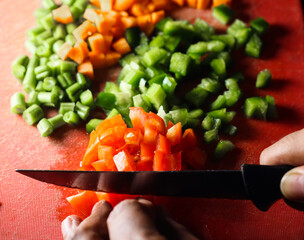 capsicum tomatoes and carrot cut into small pieces,finely chopped vegetables on a chopping board by knife in hand