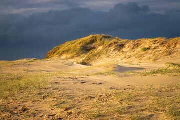 Fototapeta na wymiar Dunes at north sea beach at sunset in front of dark clouds.