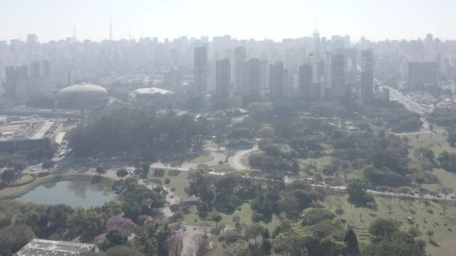 Ibirapuera Park with buildings in the background in Sao Paulo, Brazil