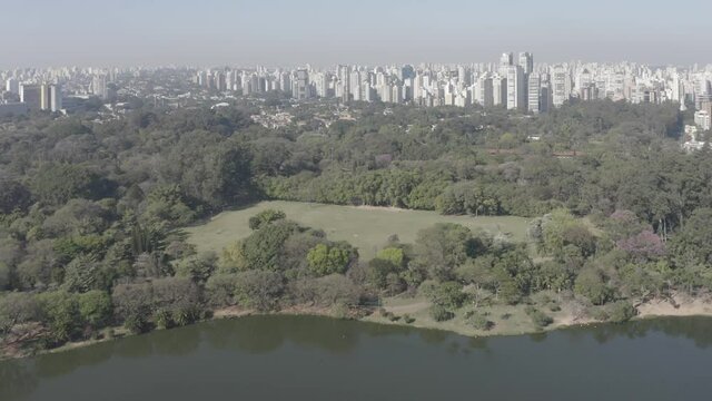 Ibirapuera Park with buildings in the background in Sao Paulo, Brazil
