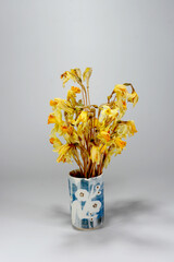 yellow dried irises in a ceramic cup