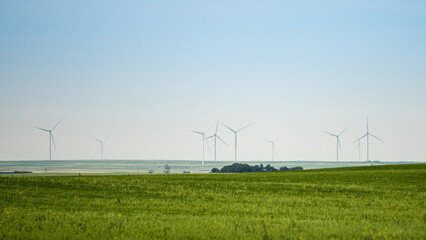 wind turbines in the field