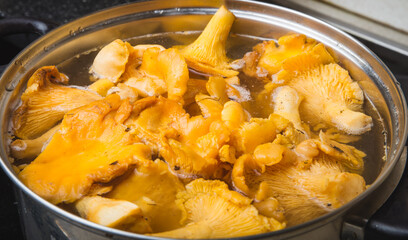Blanching of chanterelles in a pot