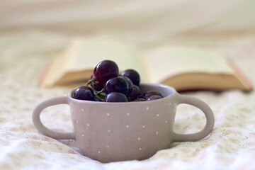 Bowl of grapes and open book on a bed. Selective focus.