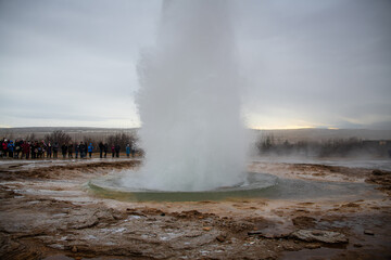 Volcanic geothermal geyser erupting water in Iceland