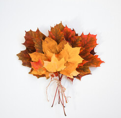 bunch bright maple foliage leaves season autumn style flat lay top view on white background