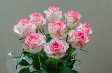 pink roses in a bouquet