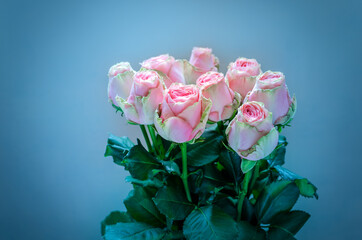 pink roses in a bouquet