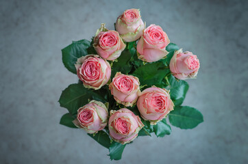 pink roses in a bouquet