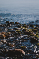 bank with river and stones close-up