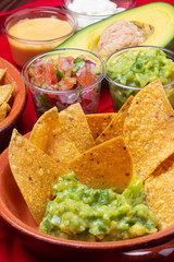 Nacho Tortilla Chip in Guacamole Avocado Sauce