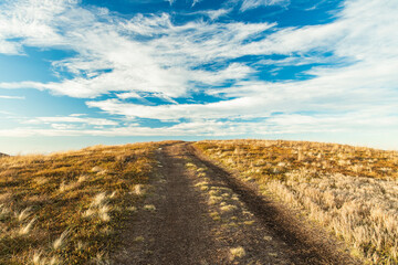 Fototapeta premium autumn highland meadow simple rustic scenic view horizon background line board with cloudy sky