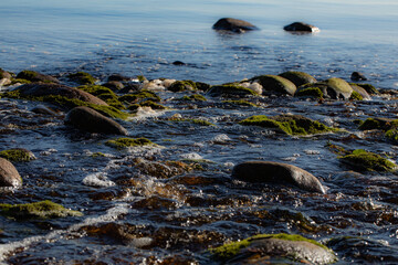 bank with river and stones close-up