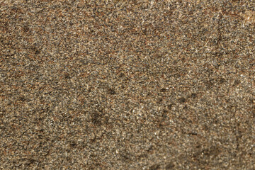 close-up of the texture of the stone by the lake.