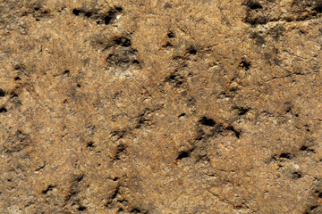 close-up of the texture of the stone by the lake.