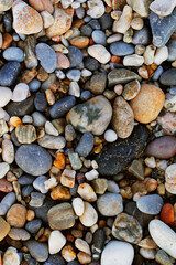 A close up view of smooth polished multicolored stones washed a