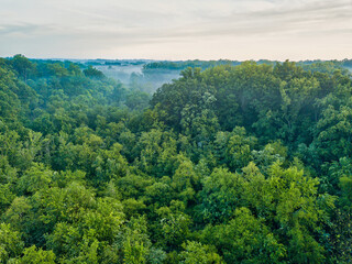 Mist and fog hovers over trees taken by an aerial drone image with the image of Philadelphia in the background