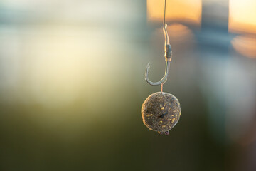 Carp Hook Boilies - Fishing Bait close up.