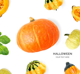 Pumpkins on the white background. Pumpkin,Halloween, thanksgiving holiday, harvest decoration.
