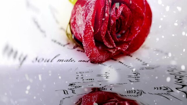 Snow over red rose and love leter