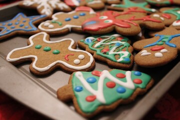 Christmas gingerbread cookies 