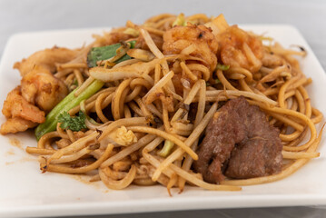 Detail view of appetizing plate tempting the tastebuds with pan fried soft noodles in perfect serving size.