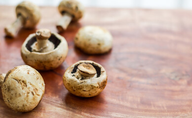 Mushroom on a wooden background with space for text