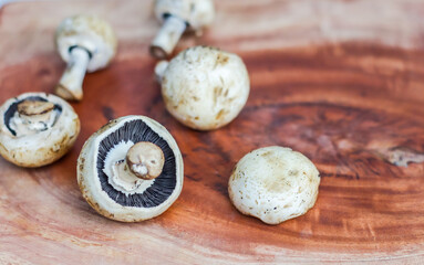Mushroom on a wooden background with space for text