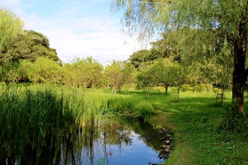 秋　空　風景　公園　爽やか