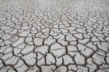 Dried Lake Bed, Little Cayman Island