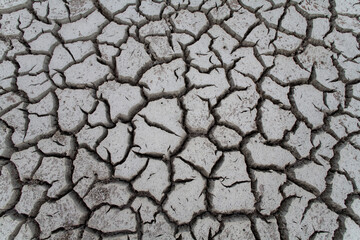 Dried Lake Bed, Little Cayman Island