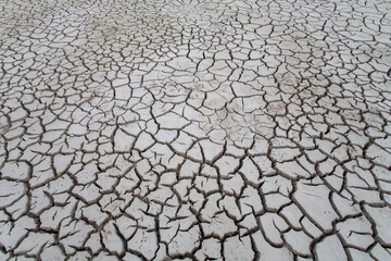 Dried Lake Bed, Little Cayman Island