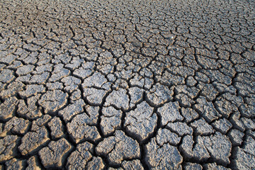 Dried Lake Bed, Little Cayman Island