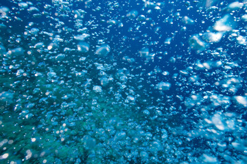 Scuba Diver’s Air Bubbles, Bahamas