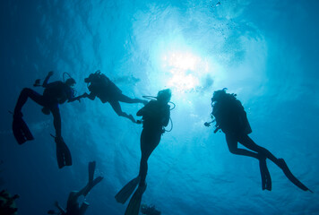 Scuba Divers, Cayman Islands