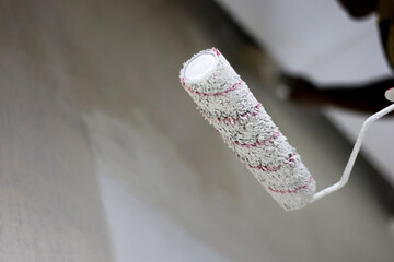 a canvas roller brush for painting walls
