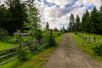 Fototapeta na wymiar Driveway to the farm with welcome sign tree lined country road