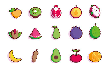 Isolated set complete fruit tropical diet icon- Vector