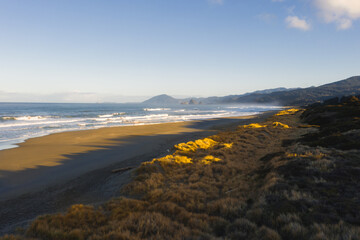 Fototapeta na wymiar Pacific Coastline near Ophir Oregon with dunes and beach. 