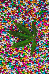 Fototapeta na wymiar Macro close up portrait of cannabis marijuana plant leaf , colorful background, selective focus