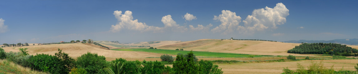 Fototapeta na wymiar Wide panorama of wheat fields in Viterbo Province Lazio Region Italy