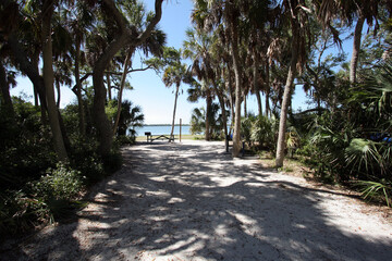 Shady wooded tent camp site in Fort De Soto Park in Pinellas County, Florida on beach and bay.