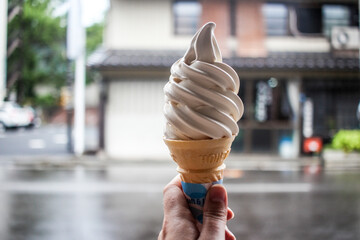 Miso flavoured soft serve ice cream (soft cream) in Nagano