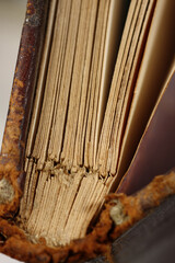 old book isolated on white