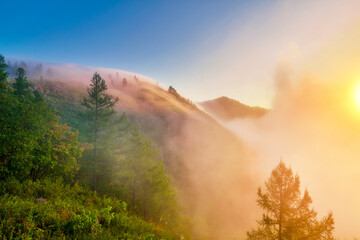 The morning  fog between the mountains landscape.