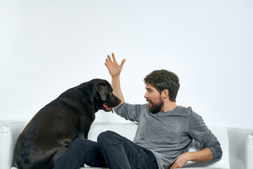 Male owner play with the dog on the couch training fun light room friends pet