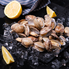 Shellfish on ice