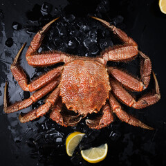 Crab with ice on black background