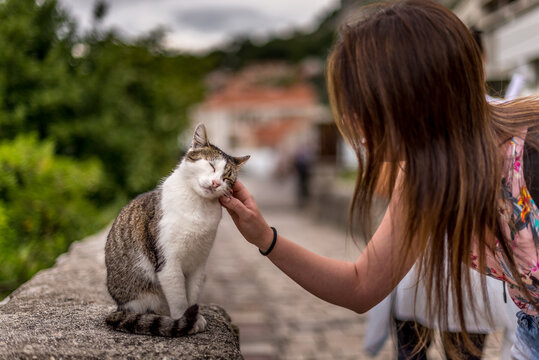 Yong woman petting street cat enjoying with closed eye in the city of Kotor, Montenegro. Please adopt