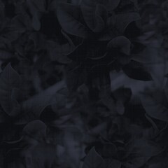 Dark moody almost black leaf seamless pattern. High quality illustration. Deep mysterious distant and faded leaf foliage design. Luxurious shadow surface pattern design for interiors or backgrounds.